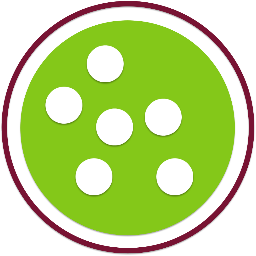 programma