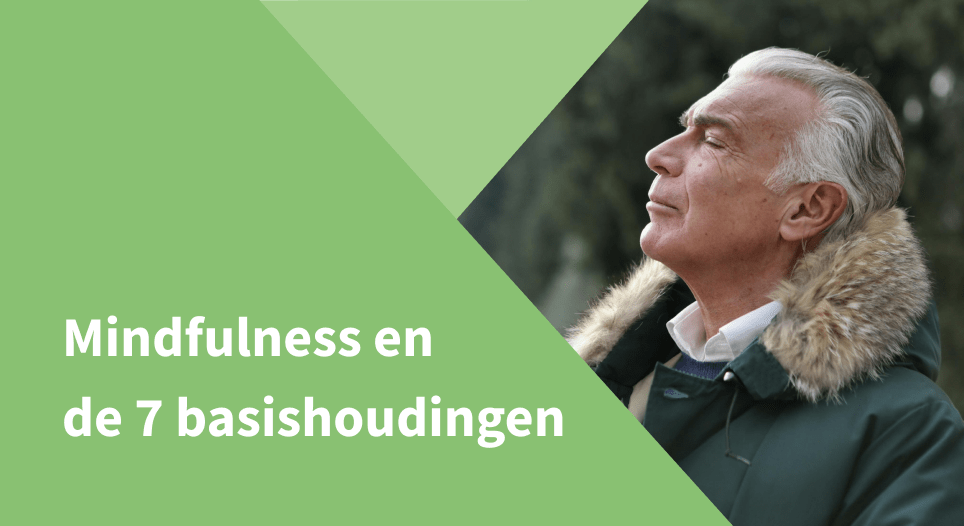 Mindfulness en de 7 basishoudingen